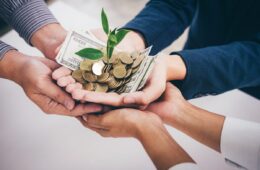 Subsidized finance Hands holding coins and banknotes with a sprouting plant, a symbol of subsidized finance for business growth